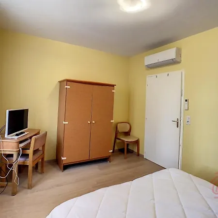 F2 Climatise Avec Terrasse, Proche Thermes, Parking Prive, Animaux Acceptes - Fr-1-451-163 Apartment *