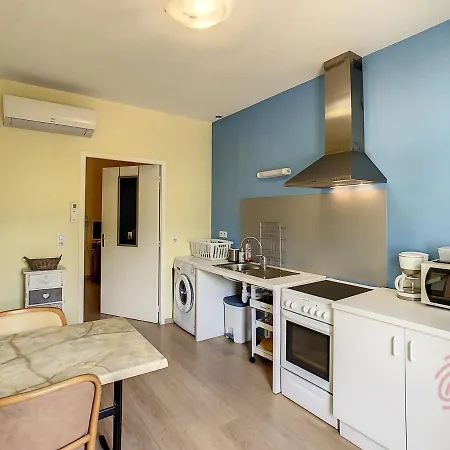 Apartment F2 Climatise Avec Terrasse, Proche Thermes, Parking Prive, Animaux Acceptes - Fr-1-451-163 Lamalou-les-Bains