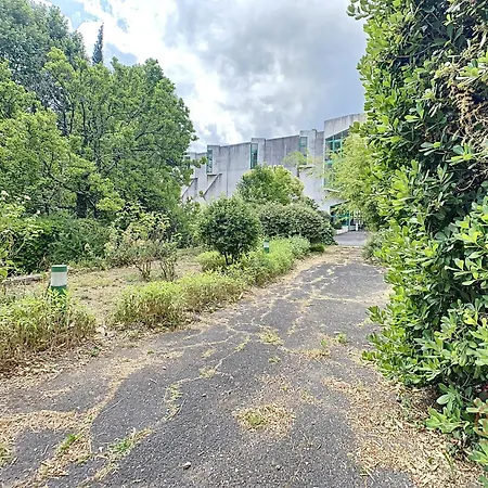 F2 Climatise Avec Terrasse, Proche Thermes, Parking Prive, Animaux Acceptes - Fr-1-451-163 Apartmán *