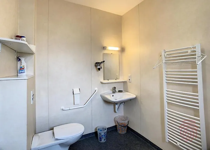 F2 Climatise Avec Terrasse, Proche Thermes, Parking Prive, Animaux Acceptes - Fr-1-451-163 * Lamalou-les-Bains