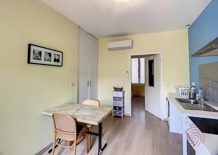 F2 Climatise Avec Terrasse, Proche Thermes, Parking Prive, Animaux Acceptes - Fr-1-451-163 Lamalou-les-Bains
