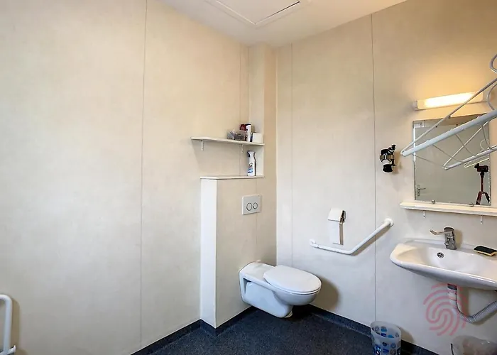 Apartmán F2 Climatise Avec Terrasse, Proche Thermes, Parking Prive, Animaux Acceptes - Fr-1-451-163