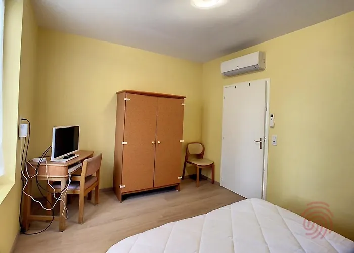 F2 Climatise Avec Terrasse, Proche Thermes, Parking Prive, Animaux Acceptes - Fr-1-451-163 Apartmán *