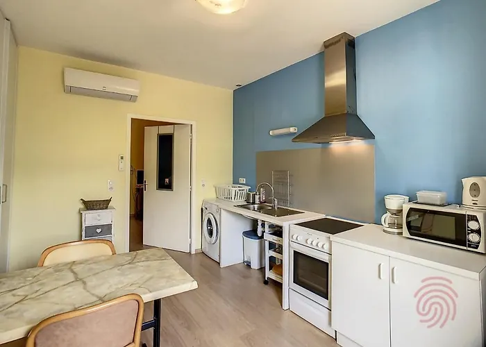 Apartmán F2 Climatise Avec Terrasse, Proche Thermes, Parking Prive, Animaux Acceptes - Fr-1-451-163 Lamalou-les-Bains