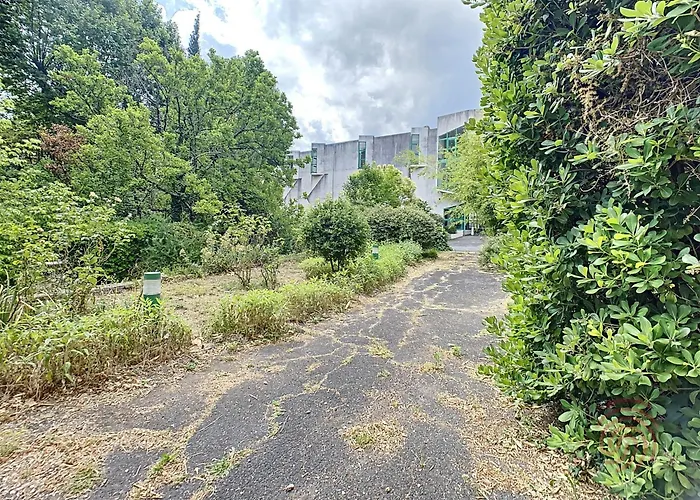 F2 Climatise Avec Terrasse, Proche Thermes, Parking Prive, Animaux Acceptes - Fr-1-451-163 Apartmán *